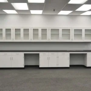 Laboratory with wall-mounted glass-door cabinets above base units